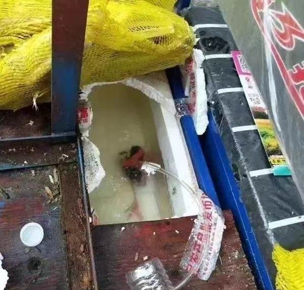 街頭甘蔗汁蘿蔔亂飲！被揭老闆手在下面「偷手腳」騙大量，內行人親吐：我們自己從不喝