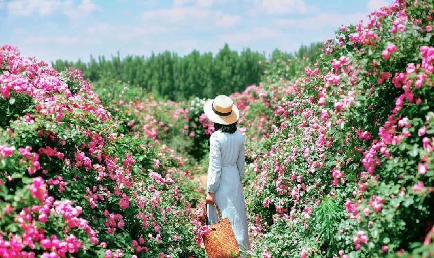 買下千平豪宅！知名女星「親自養花種菜」享受田園生活　接地氣生活「圈粉百萬」網友：實名羨慕了