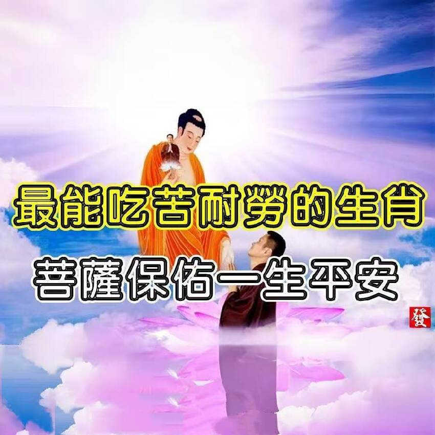 最能吃苦耐勞的四個生肖，菩薩保佑一生平安