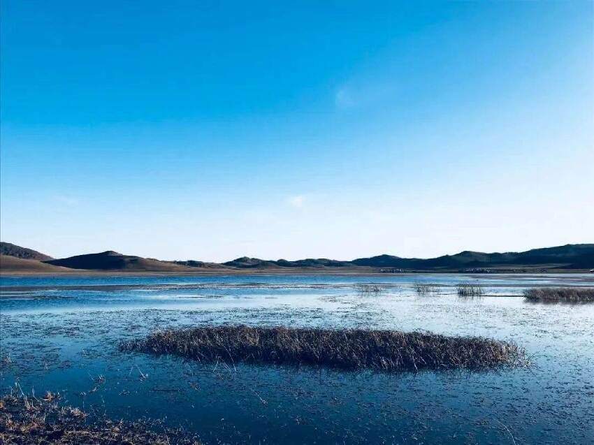 一個人看不上你，還頻繁和你來往，原因只有一個！