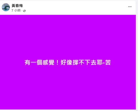 S媽凌晨痛苦求救「撐不下去」大S離世1個月走不出　崩潰文惹心疼