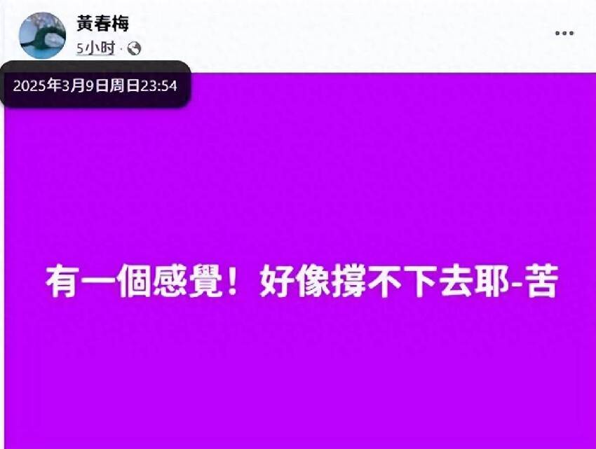 小S婆家人介入！具俊曄繼承遺產陷稅困、黃春梅發文：撐不下去了