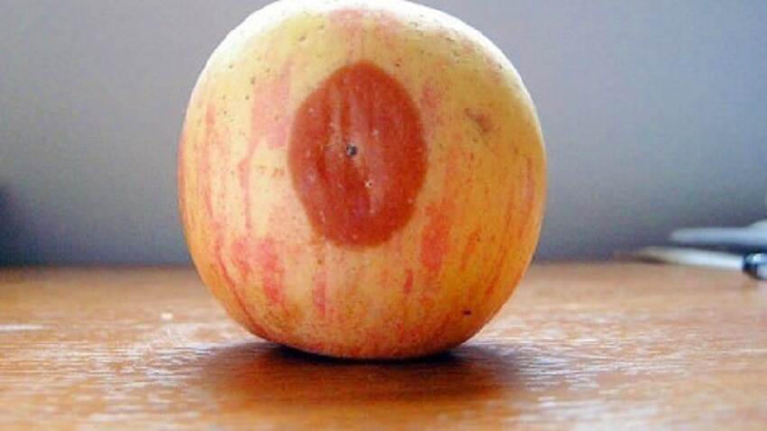 蘋果爛了一小塊，削掉以後，剩下部分到底能不能吃，看完漲知識了