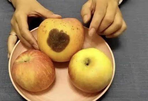 蘋果爛了一小塊，削掉以後，剩下部分到底能不能吃，看完漲知識了