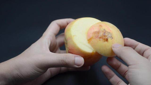 蘋果爛了一小塊，削掉以後，剩下部分到底能不能吃，看完漲知識了