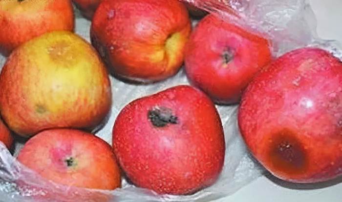 蘋果爛了一小塊，削掉以後，剩下部分到底能不能吃，看完漲知識了