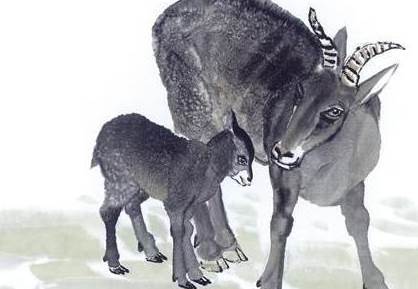 十二生肖中「最好命」的原來是這3大生肖，一生福報滿滿：享福不盡