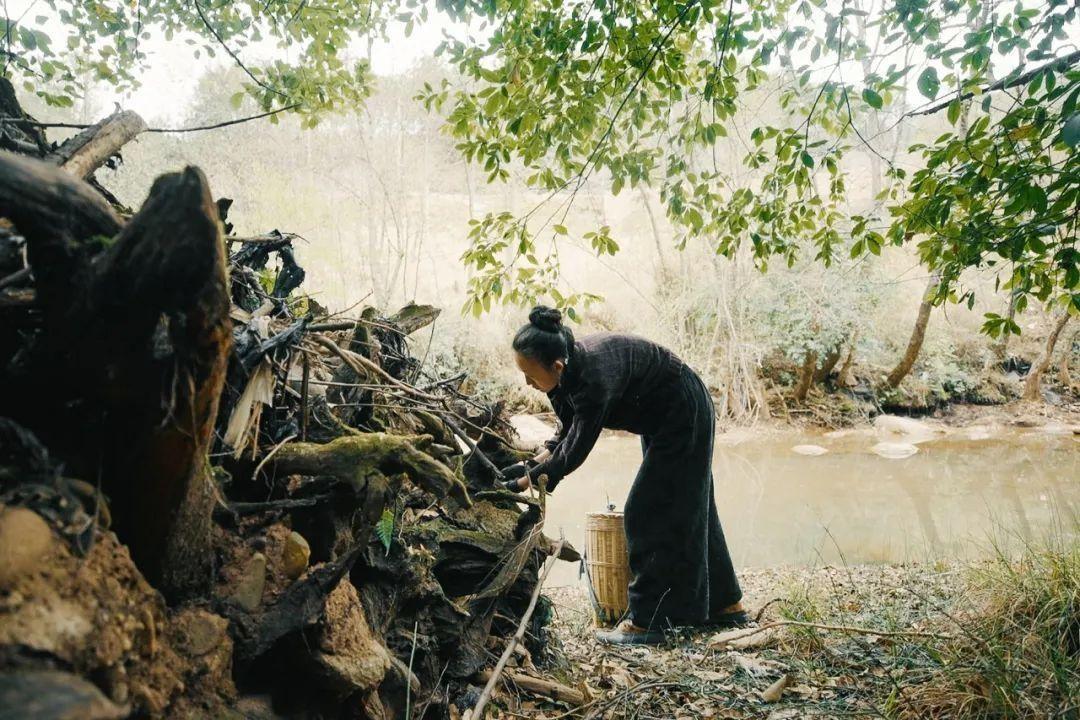 建立世外桃源！34歲女生「獨居荒山6年」過隱士生活　踐行環保「上廁所不用衛生紙」徒手開荒種地