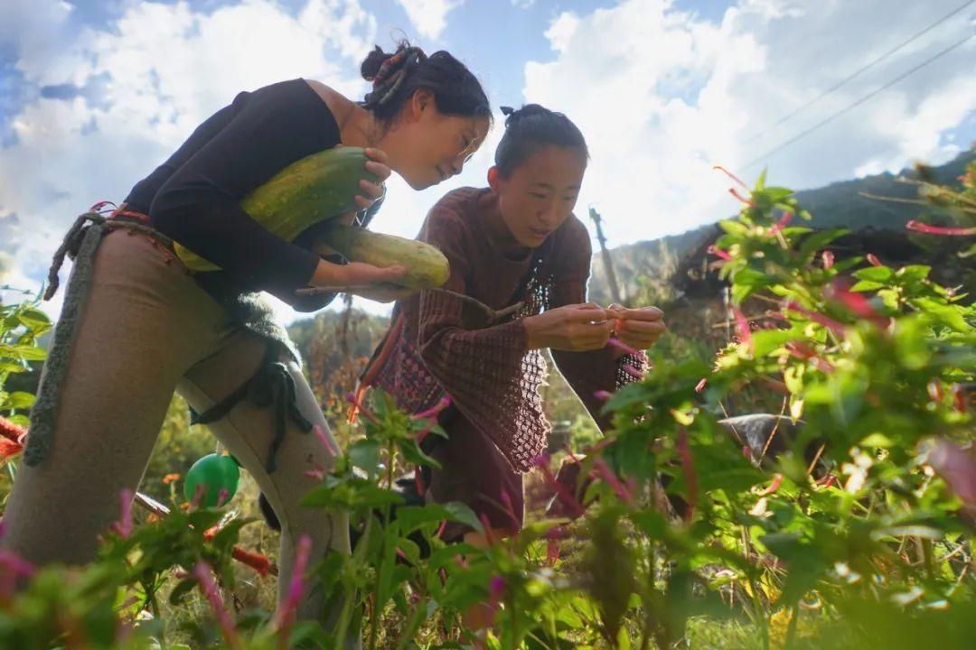 建立世外桃源！34歲女生「獨居荒山6年」過隱士生活　踐行環保「上廁所不用衛生紙」徒手開荒種地