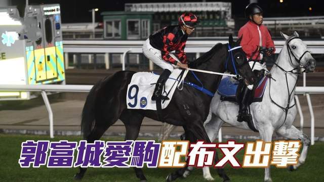 郭富城遭雙重打擊！愛駒「舞林密碼」去世，共為其奪1000多萬獎金