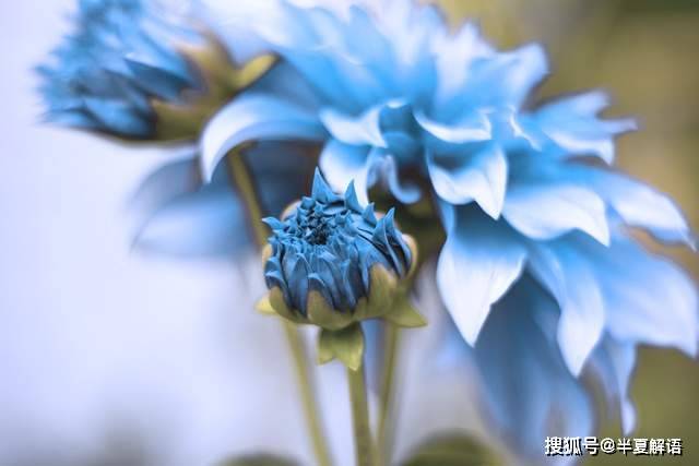 小叔兒子考大學老公承諾包10萬開銷,3年後女兒高考完我讓他凈身出戶