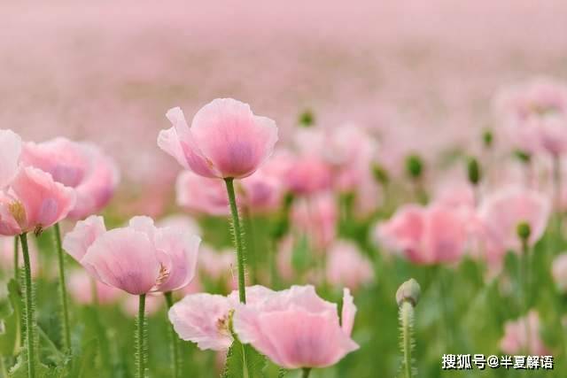 小叔兒子考大學老公承諾包10萬開銷,3年後女兒高考完我讓他凈身出戶