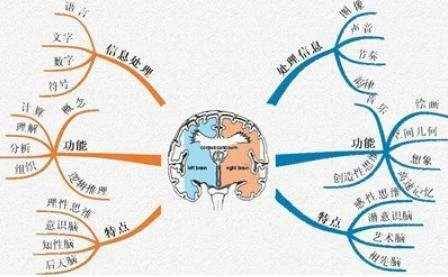 孩子有這3種表現,說明右腦發達有「學霸」潛質,要好好培養別錯過了
