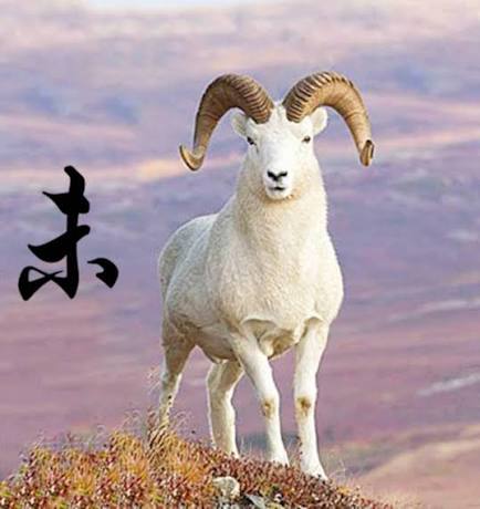 天底下最苦命的四大生肖女，一生操勞命，多虧子女出息大
