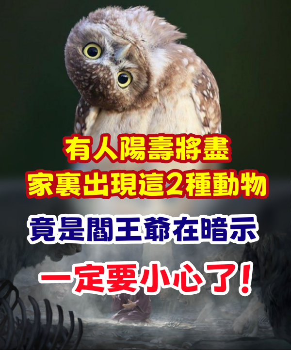 家裏出現這2種動物，竟是閻王爺在暗示，有人陽壽將盡，一定要小心了！