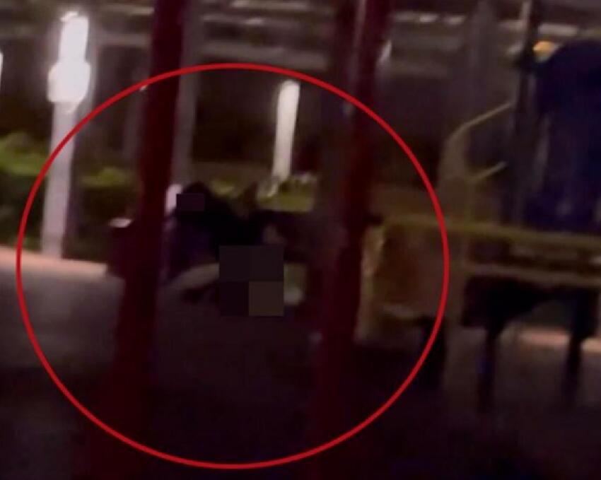 香港公眾公園激情上演「活春宮」，兩女子聞欲「冒死」上前當「戰地記者」，「打羽毛球」意外被「黑化」成令人不忍直視的潮語