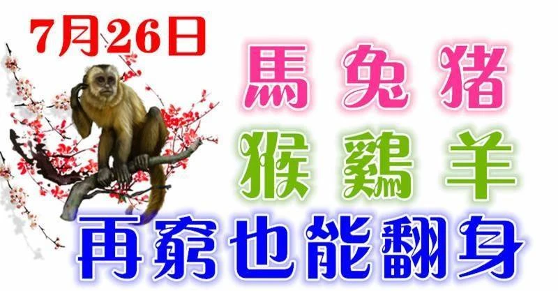 7月26日生肖運勢_馬、兔、豬大吉