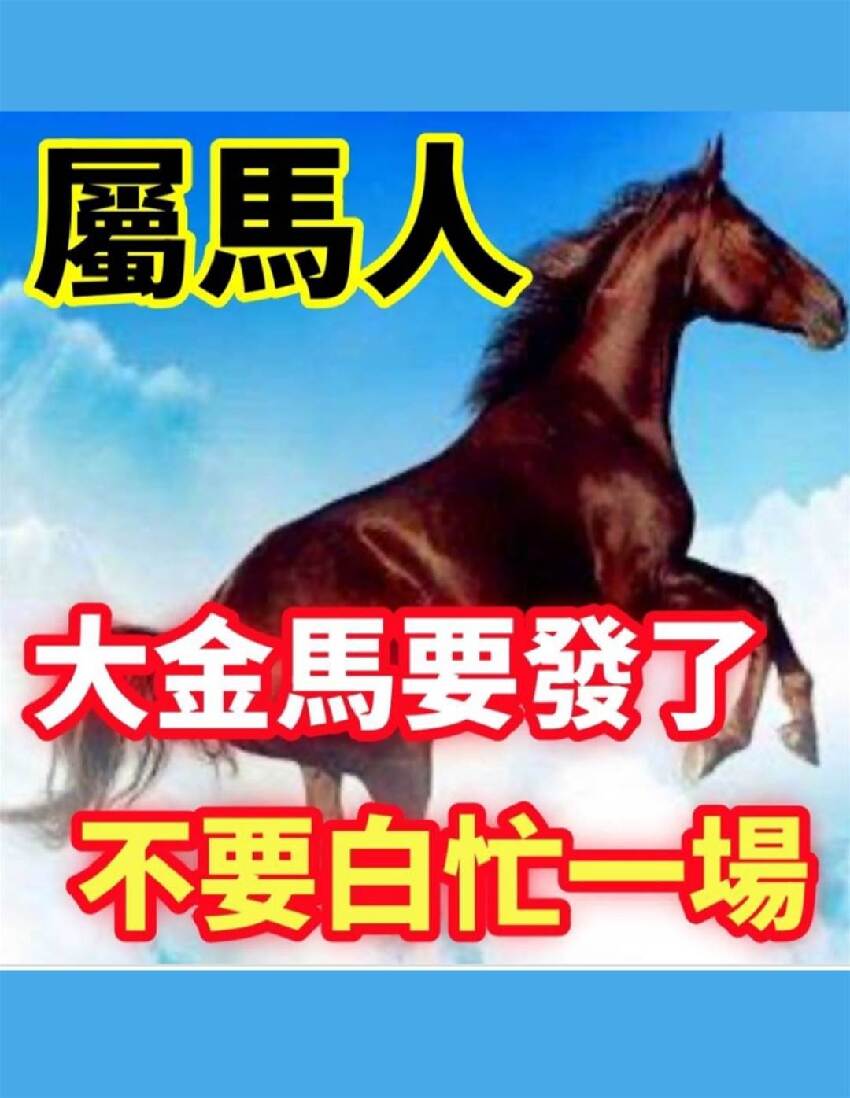 大金馬：今天開始屬馬人要轉運要發了，快來了解