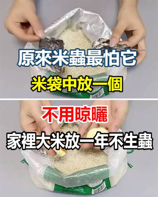 原來米蟲最怕它，米袋中放一個，不用晾曬，家裡大米放一年不生蟲