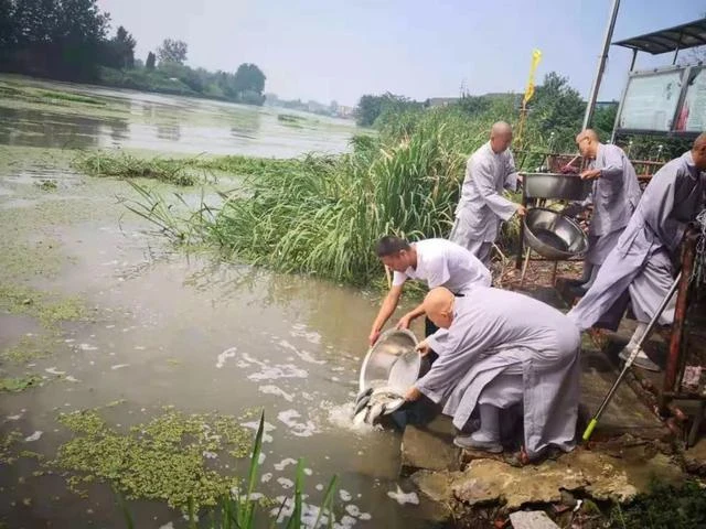 虔誠拜佛50年！我「換了三個寺廟」每次都出錢又出力，沒想到撞破住持的秘密，無奈領悟：再也不願給寺廟捐錢了...