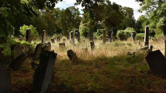 快訊／掃墓嫌累喊「明年不來了」57歲男講完話：下秒倒地猝死