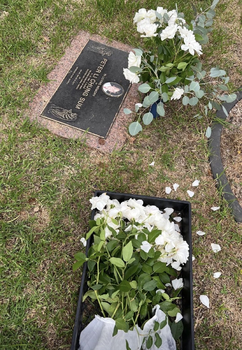 73歲港姐為李小龍哥哥掃墓，墓前鋪滿白花，離婚逾30年仍每年拜祭